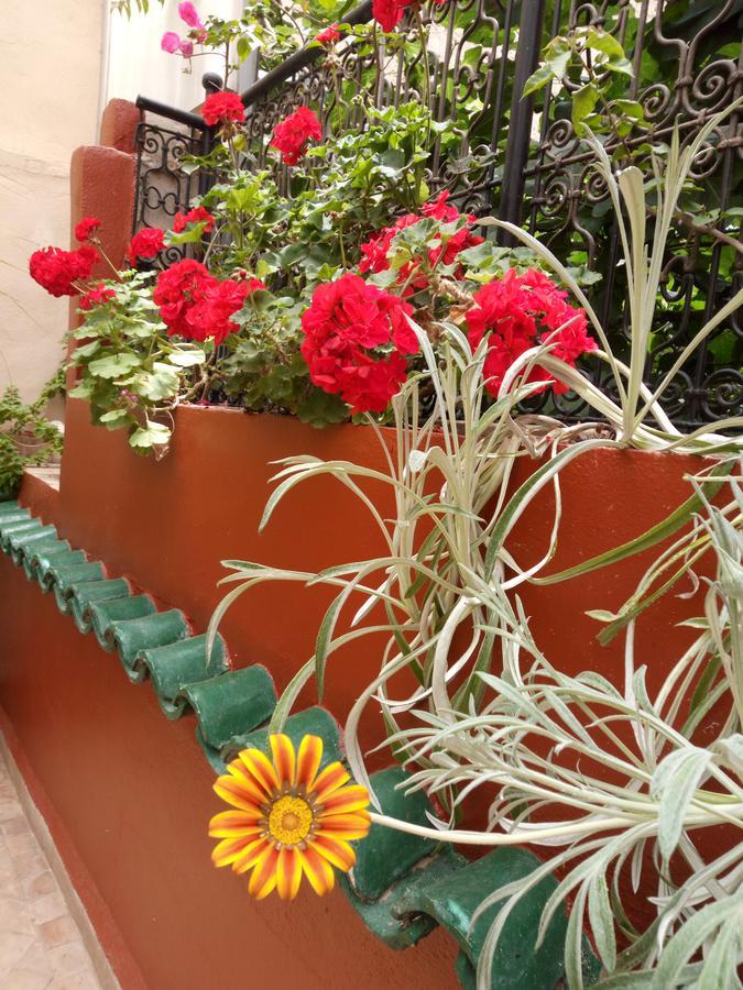 Riad Letchina Fes Luaran gambar